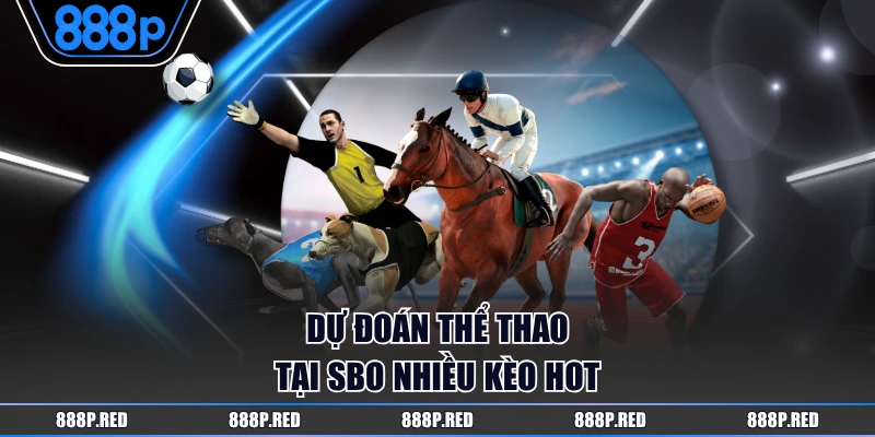 Dự đoán thể thao tại SBO nhiều kèo hot